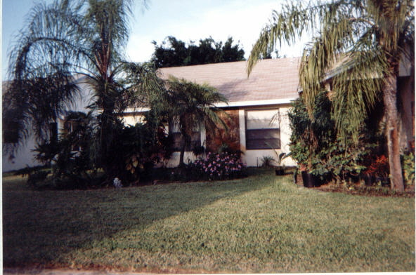 THE PARITI'S HOUSE